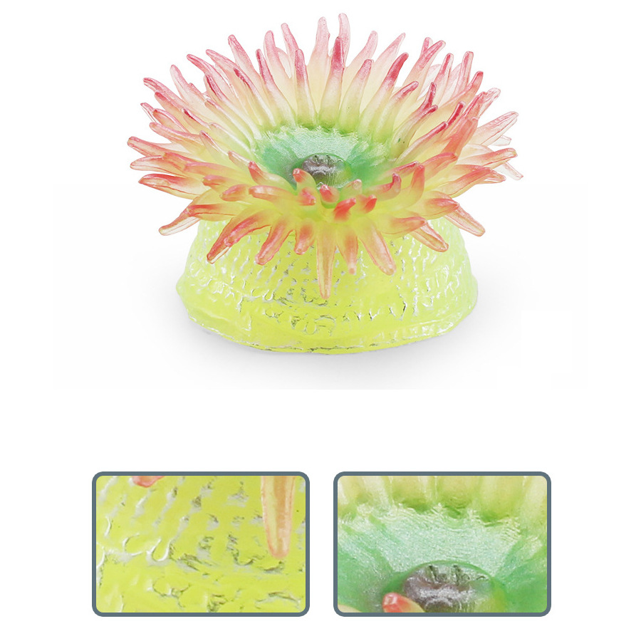 Realistic Coral Sea Anemones S - đánh giá và giá Kids Toys China