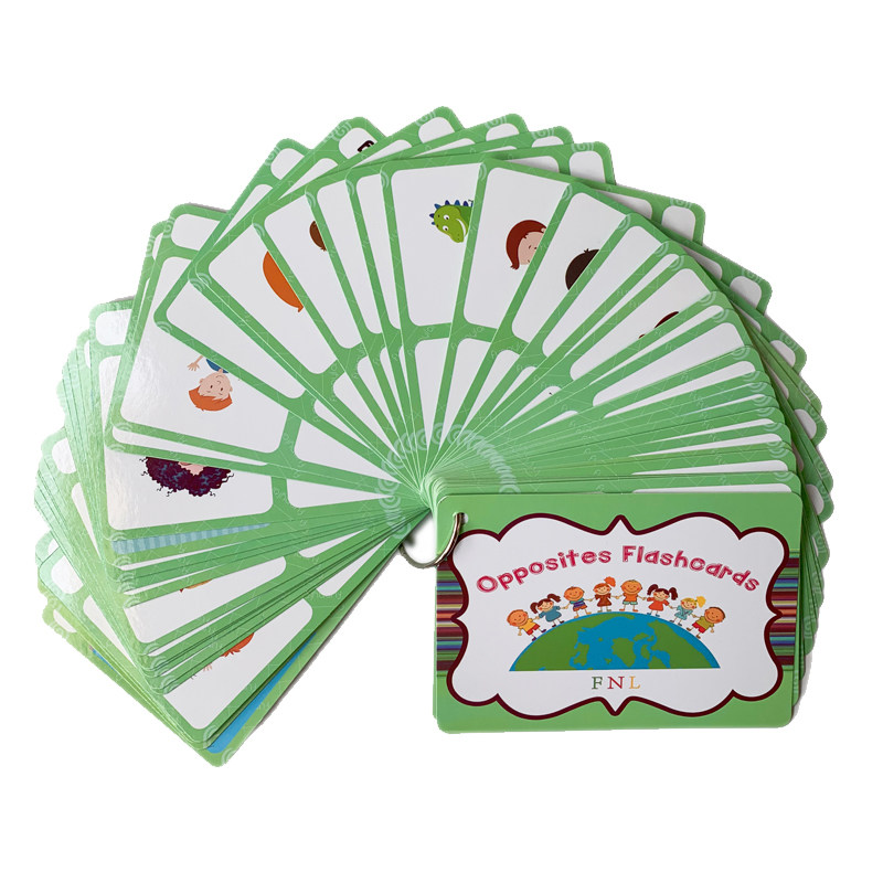 The 100 Groups Opposites Flash - đánh giá và giá Kids Toys And Games