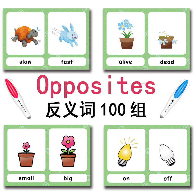 The 100 Groups Opposites Flash - đánh giá và giá Kids Toys And Games