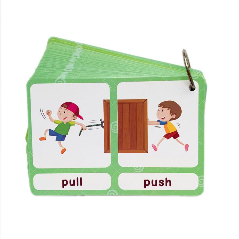 The 100 Groups Opposites Flash - đánh giá và giá Kids Toys And Games