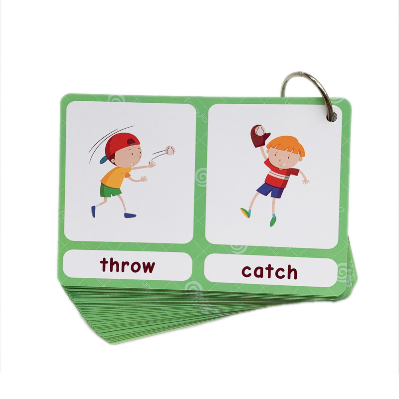 The 100 Groups Opposites Flash - đánh giá và giá Kids Toys And Games