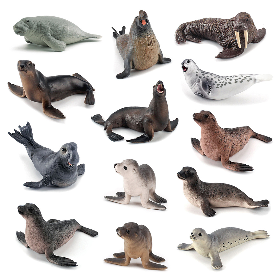 Realistic Dugong Manatee Walru - đánh giá và giá Kids Toys China