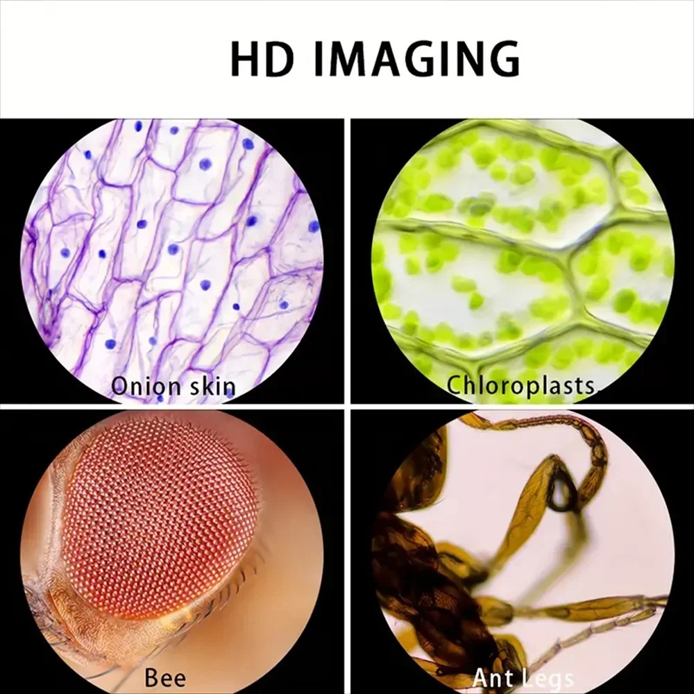 XC Microscope 60-120x Lab Hand - đánh giá và giá Microscope Kids Science