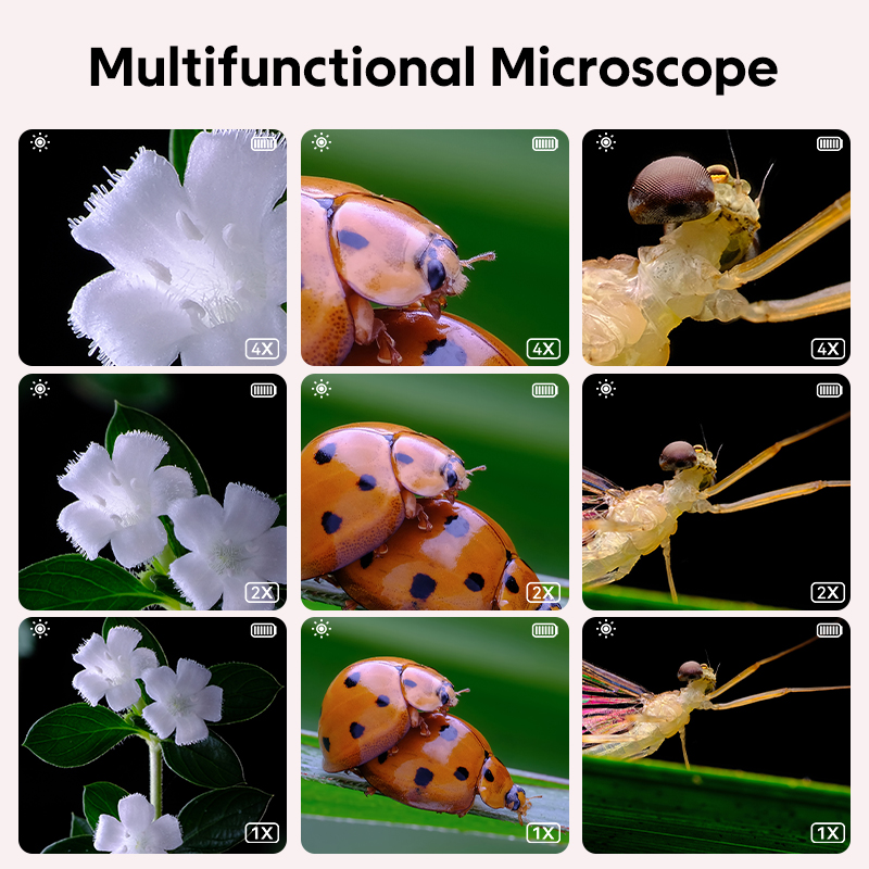 Mini Kids Optical Microscope W - đánh giá và giá Microscope Kids Science