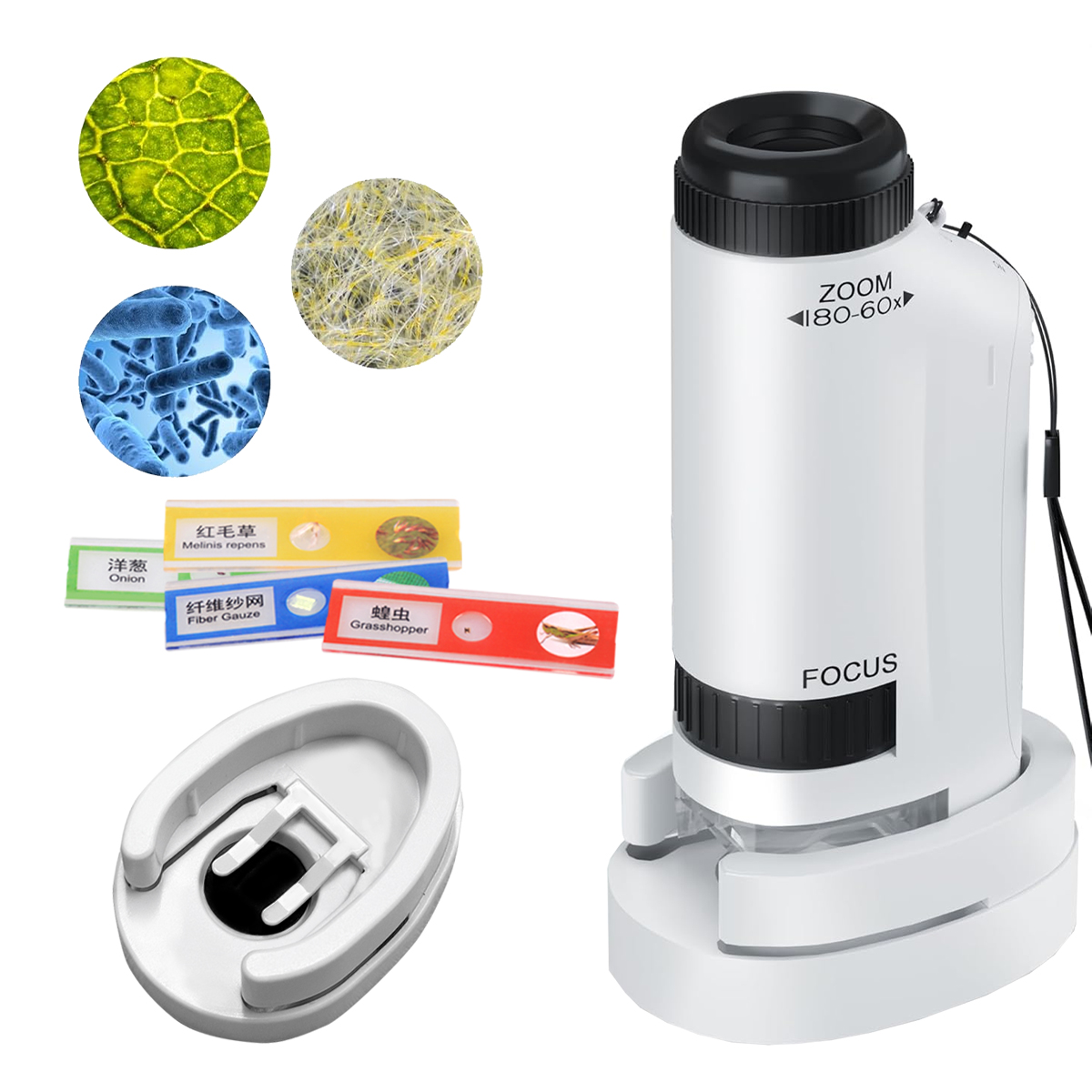 Mini Microscope Handheld Toys  - đánh giá và giá Microscope Kids Science