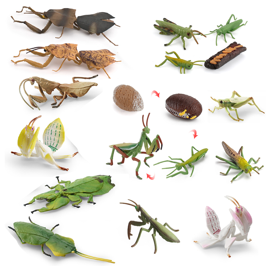 Realistic Orchid Mantis Dead L - đánh giá và giá Kids Toys China