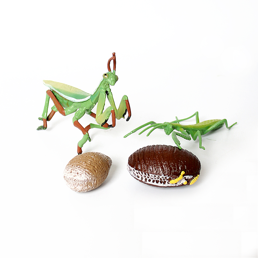 Realistic Orchid Mantis Dead L - đánh giá và giá Kids Toys China